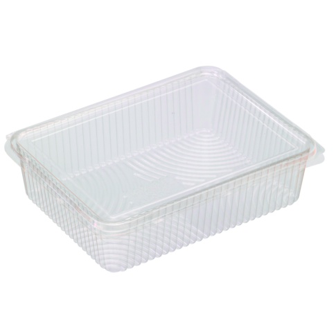 Flat rectangular PLA clear box with hinged lid